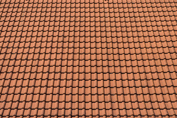 The background of the tiles.