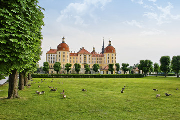 Moritzburg