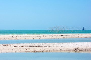 Fototapeta na wymiar mierzeje w Zatoce Meksykańskiej
