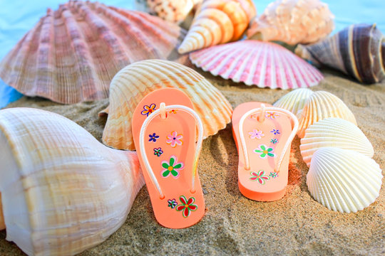 Shell and flip-flop on beach