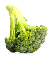 Broccoli isolated on white