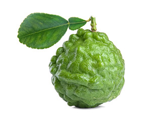 Obraz premium kaffir lime