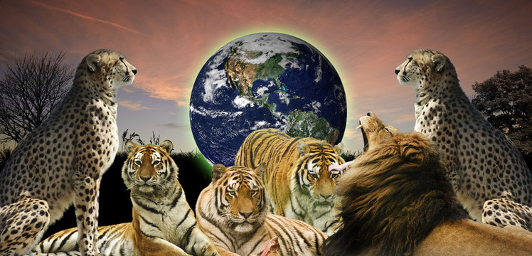 Creative concept image of wild cats protecting the planet Earth