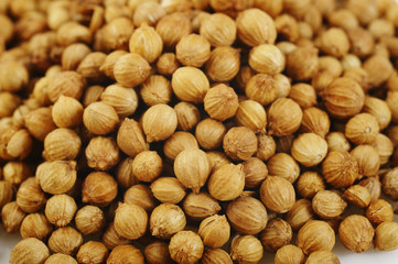 coriander seeds