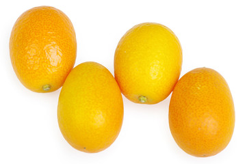 Group kumquat isolated on the white background