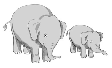 Elephant Dad and Son