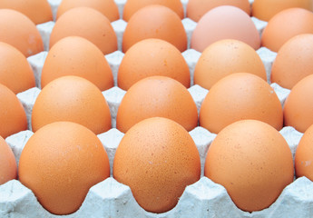 fresh organic brown eggs