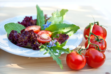 Tomaten und Salat