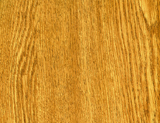 Wood texture. High detailed this a image