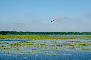East Prussia Landscape