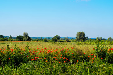 East Prussia Landscape