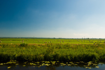 East Prussia Landscape