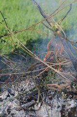 Lagerfeuer