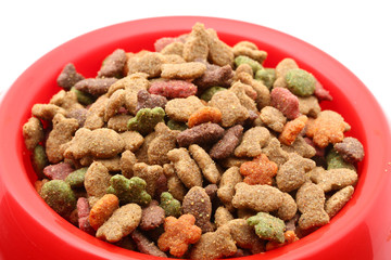 Futternapf Makroaufnahme