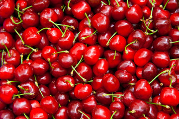 Fresh Organic Red Cherries