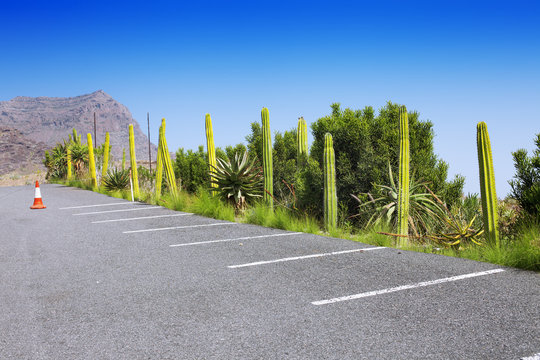 Exotic car park with cacti, Empty parking lot