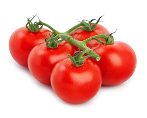 tomatoes over white background.