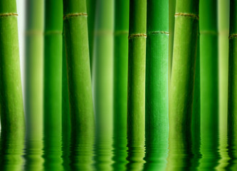 Panele Szklane Podświetlane  Bambusowy Las z Odbiciem Wody
