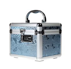 Silvery suitcase