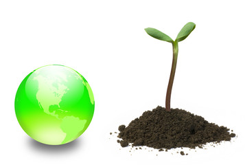 新芽と地球