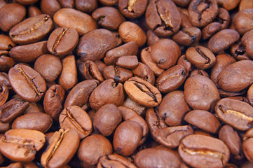 Kaffeebohne