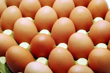 eggs
