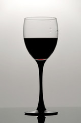 Wine glass