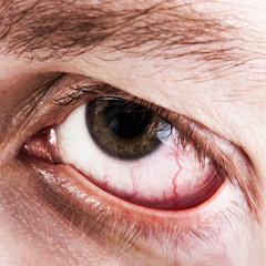Blood capillary human eye