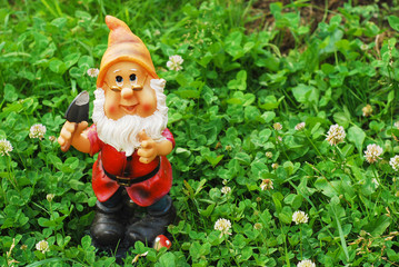 garden dwarf