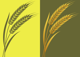 Wheat-1