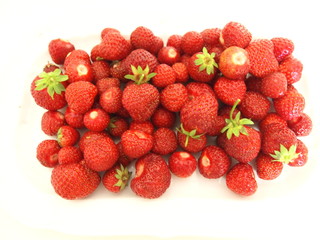 Erdbeeren
