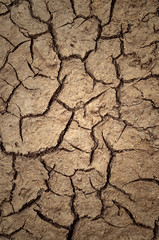 Dry cracked earth background