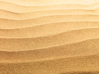 beach sand background
