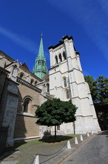 Fototapeta na wymiar Saint-Piotra katedra w Genewie, Szwajcaria