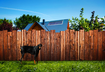 Neighborhood