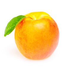 beautiful apricot isolated on white