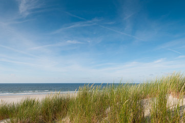 Fototapeta na wymiar dunes and beach