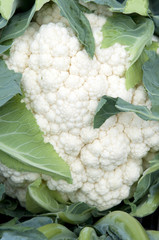 cauliflower