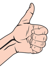 Human hand giving ok (Vector hand showing thumbs up)
