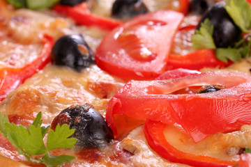 tasty pizza with olives