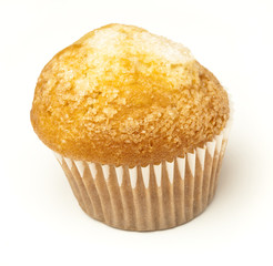 muffin isolated