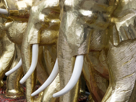 golden elephant