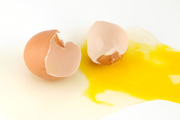 Egg shells and yolk