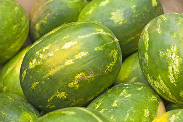 Wassermelone