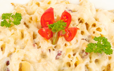 Pasta closeup