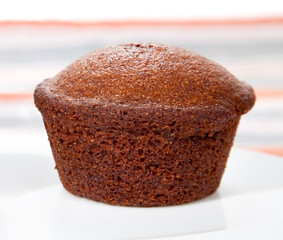 Freshly baked chocolate  muffins