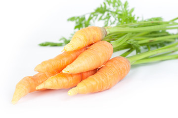 Carrots on white background