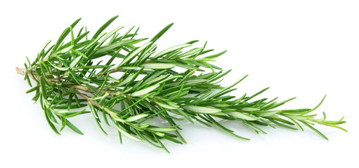 Fresh rosemary closeup
