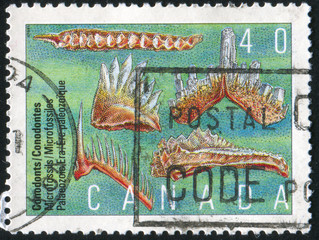 postage stamp