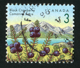 postage stamp